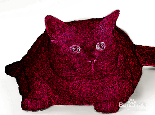 PS如何制作火红猫