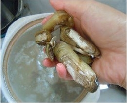 美味的双贝煲冬瓜详细制作过程