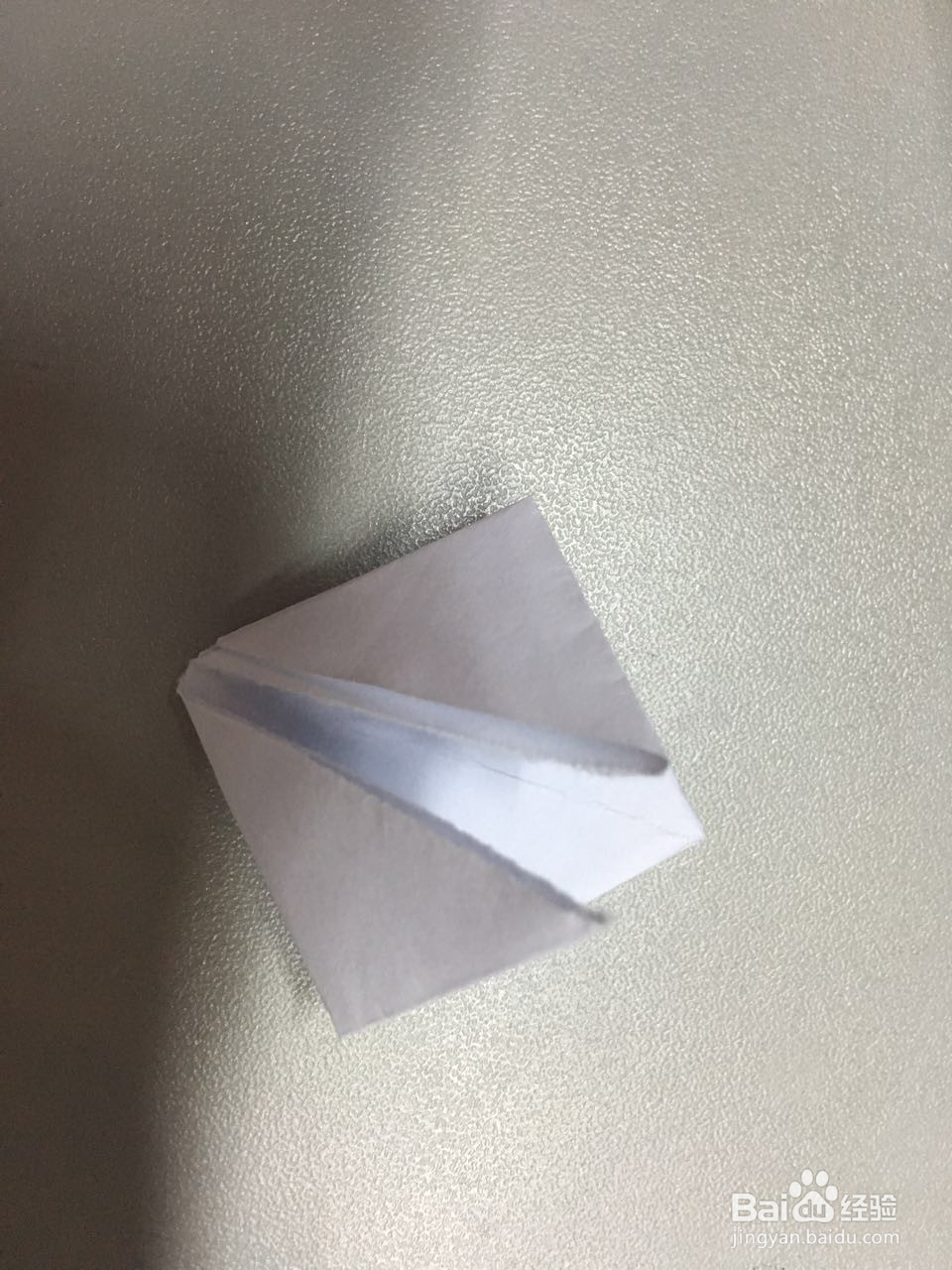 小萌物－－兔兔