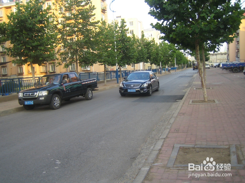 怎样告诉孩子安全过马路--56