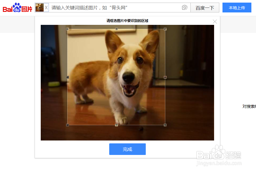 百度搜索框内的图片标志有什么用