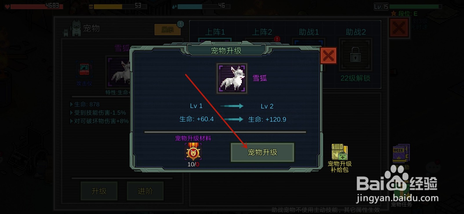 像素危城怎么升级宠物