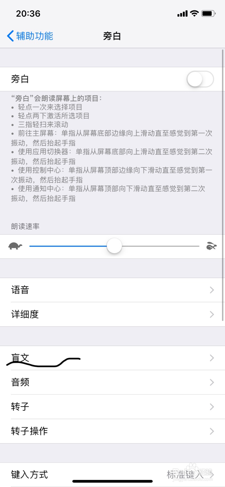 苹果手机怎么设置开启关闭方程使用Nemeth码