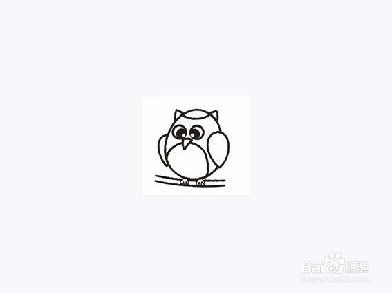 猫头鹰简笔画