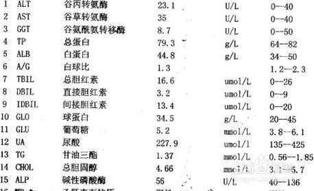 怎么看肝功能是否正常
