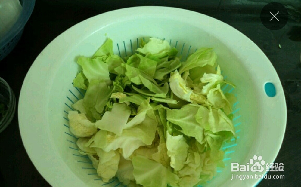 家常手撕包包菜
