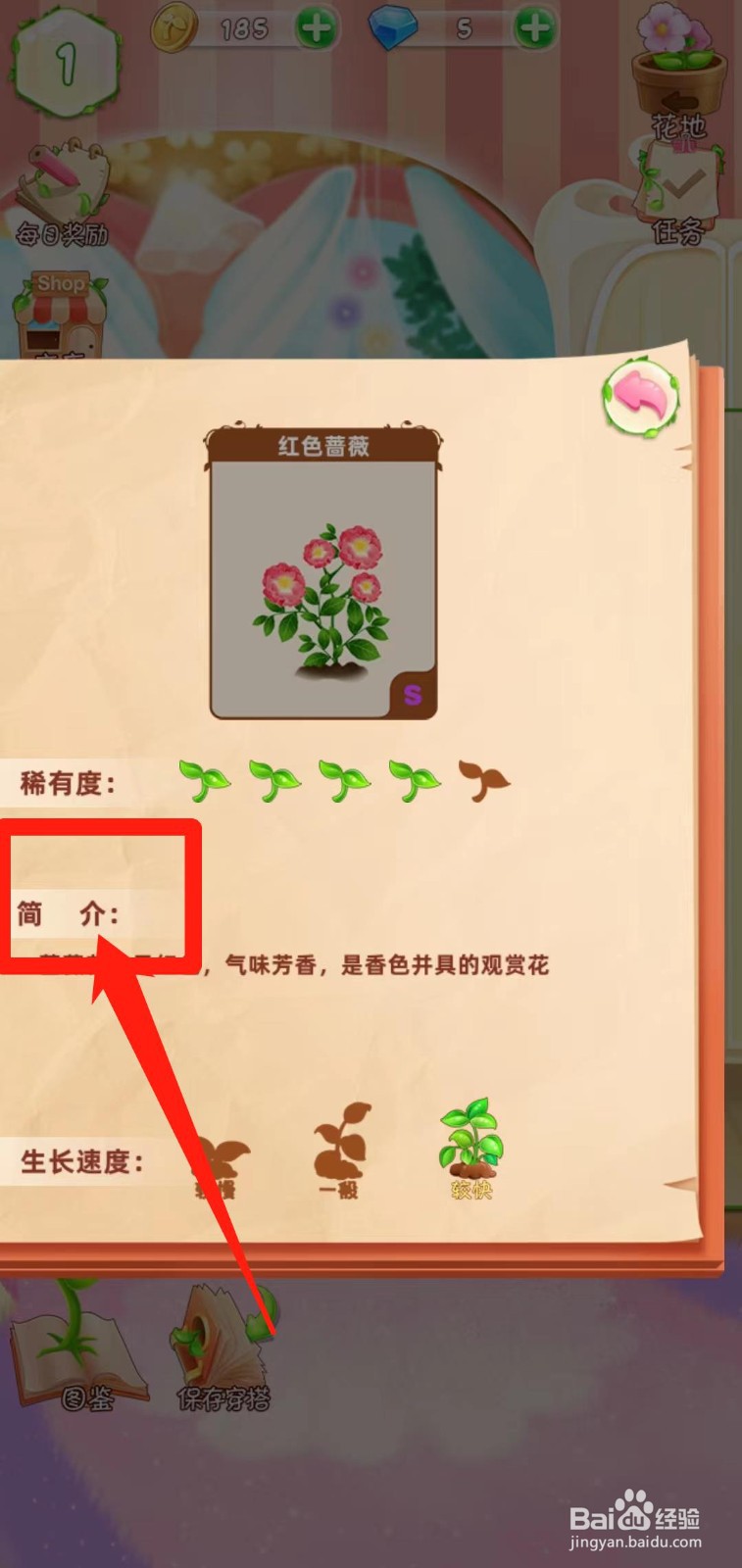 花花姑娘之魔法花园如何查看红色蔷薇简介