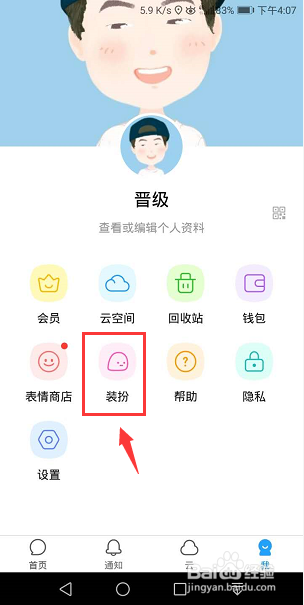 与你怎么装扮宠物