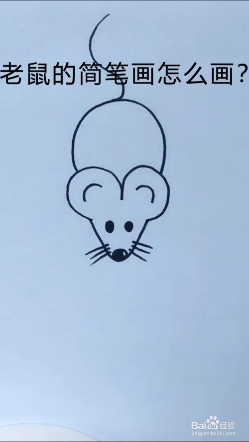 老鼠的简笔画怎么画?
