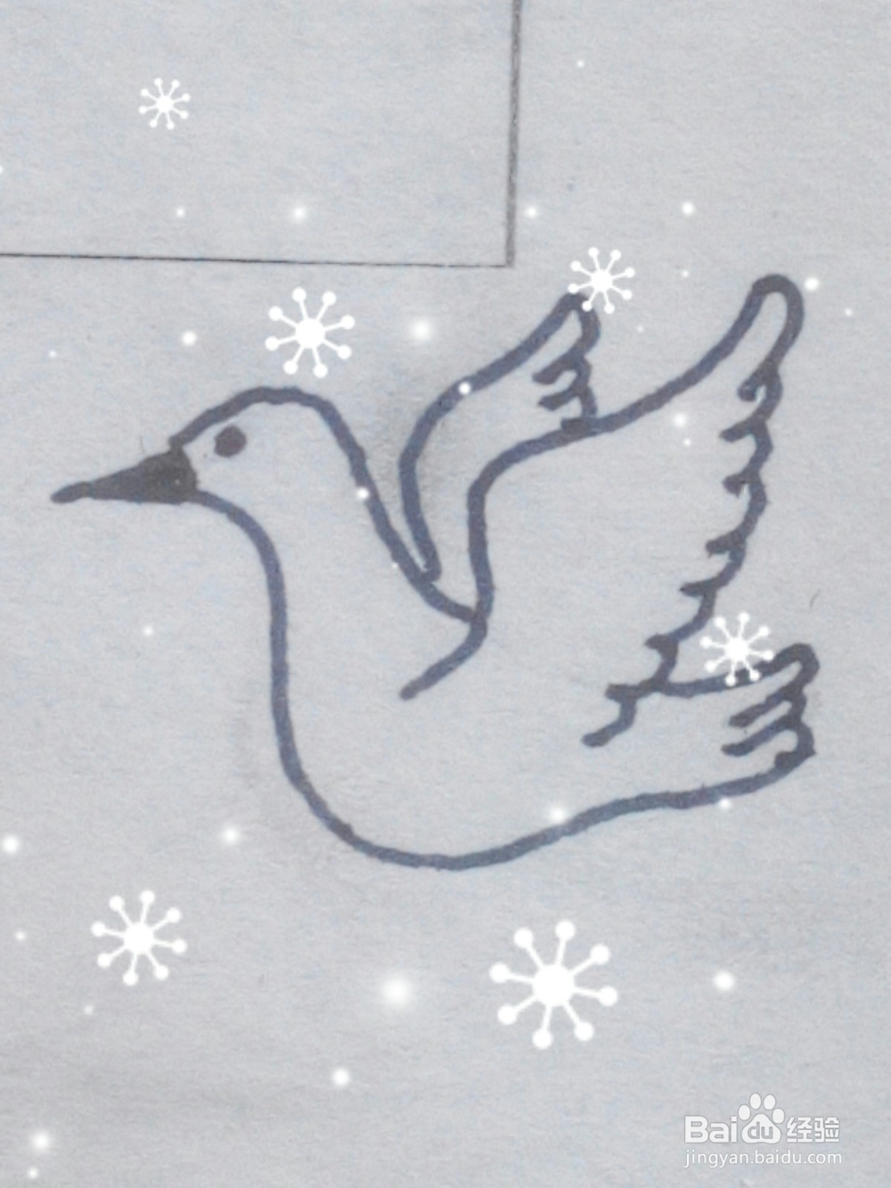 和平鸽怎么画呢14