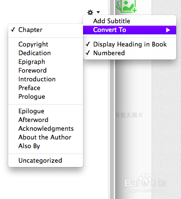 如何选择写书软件