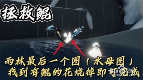 光遇11.29每日任务完成攻略