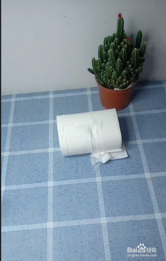卷筒餐巾纸怎么撕才好呢