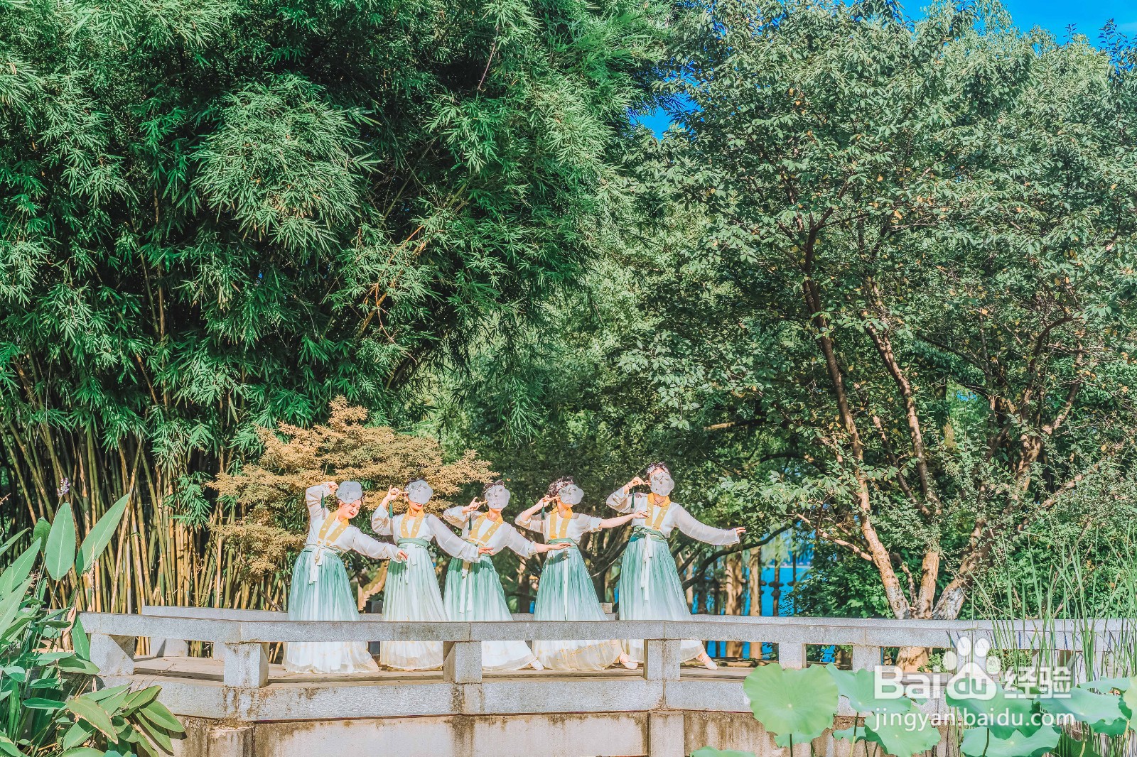 跳舞必须掌握的舞蹈知识有哪些？这10点必须掌握