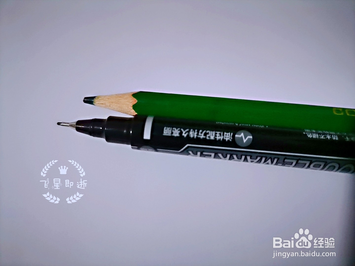 儿童简笔画 如何画一只壁虎