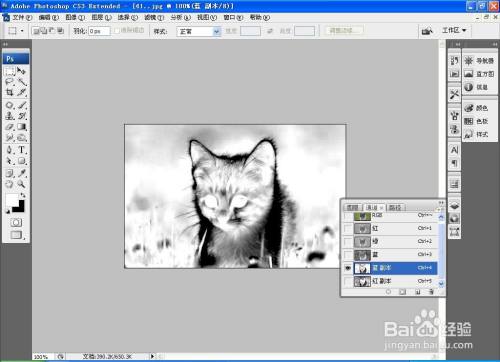 PS软件如何使用单通道抠图