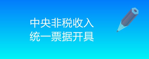 如何开具中央非税收入统一票据