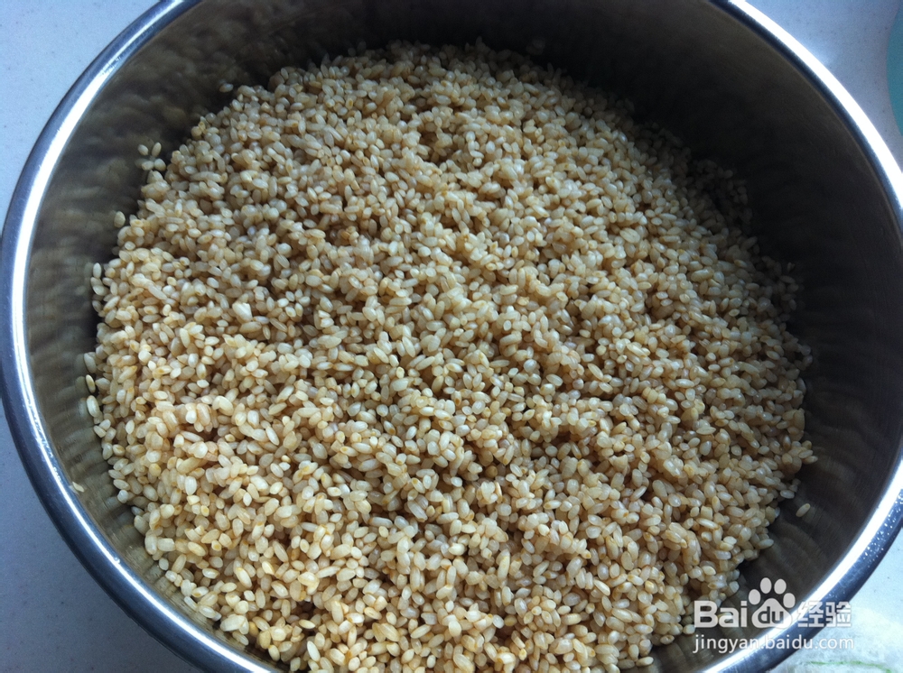 端午节 香糯肉粽