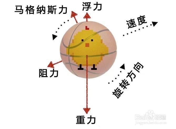 <b>如何学好初中物理和把握学习方法</b>