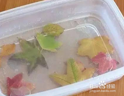 树叶风铃制作步骤