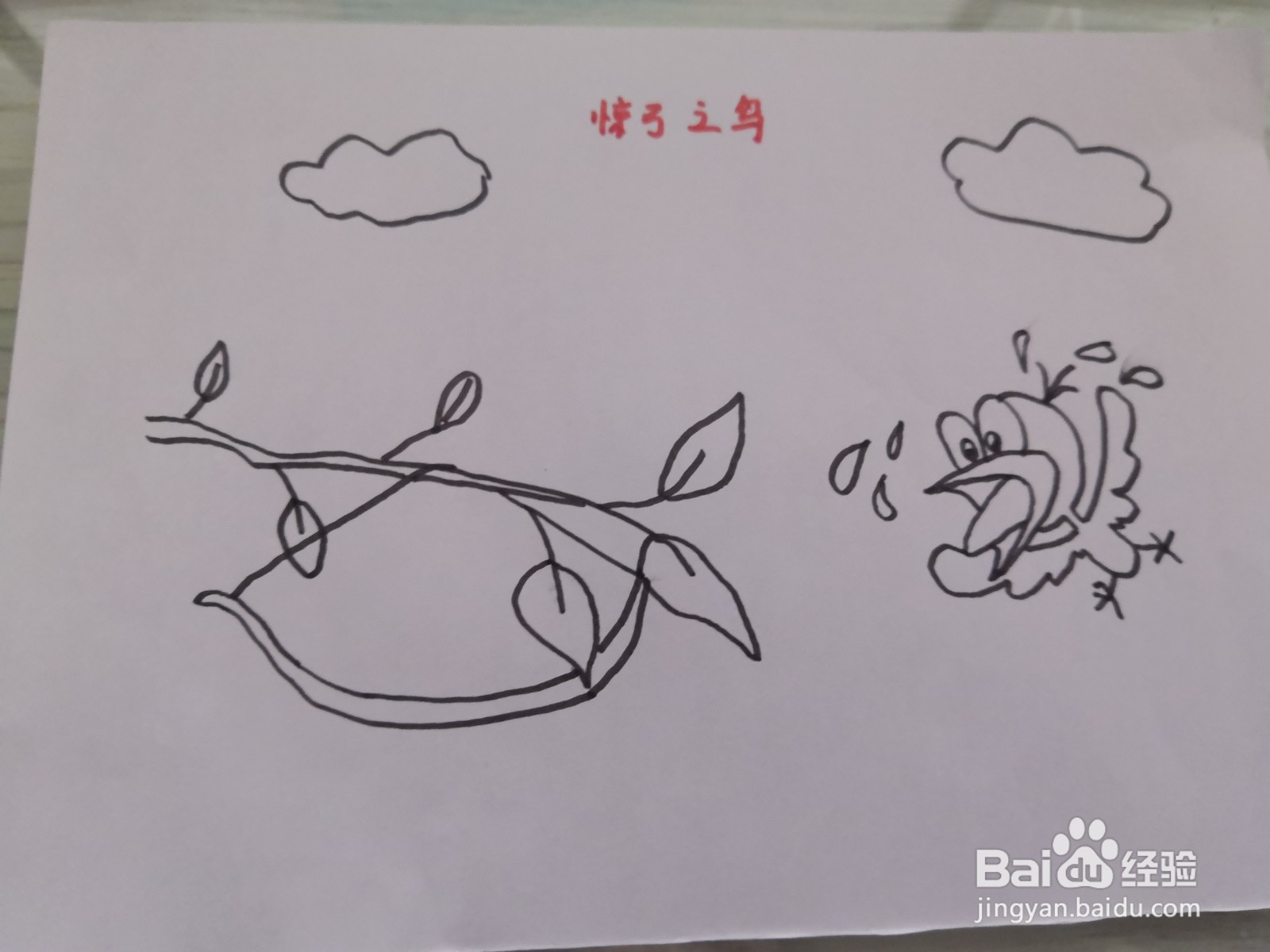 惊弓之鸟简笔画