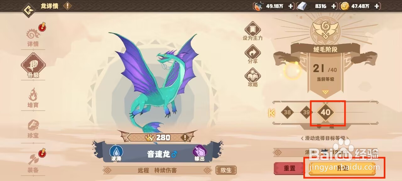 驯龙高手旅程怎么将音速龙升级直40级？
