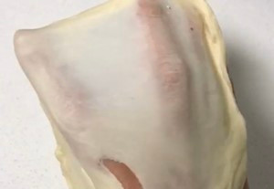 牛角面包的做法