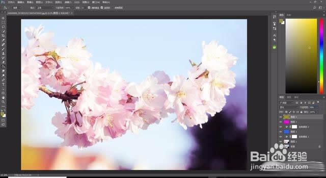 Photoshop樱花摄影后期处理
