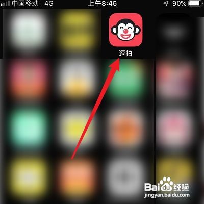 逗拍怎么查看隐私政策
