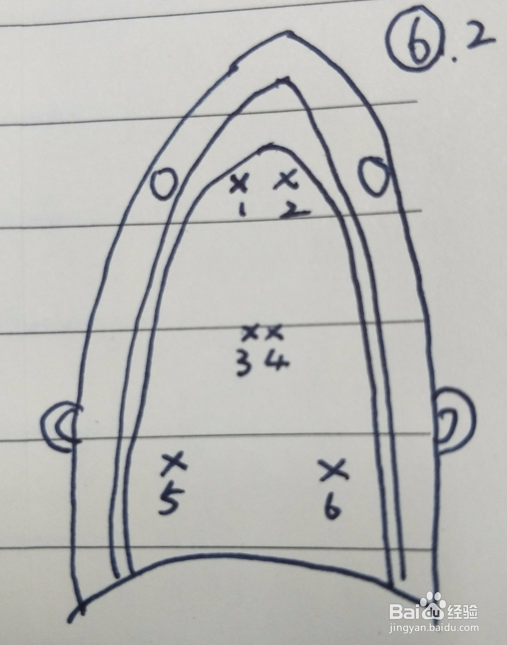 大白鼠取脑组织步骤