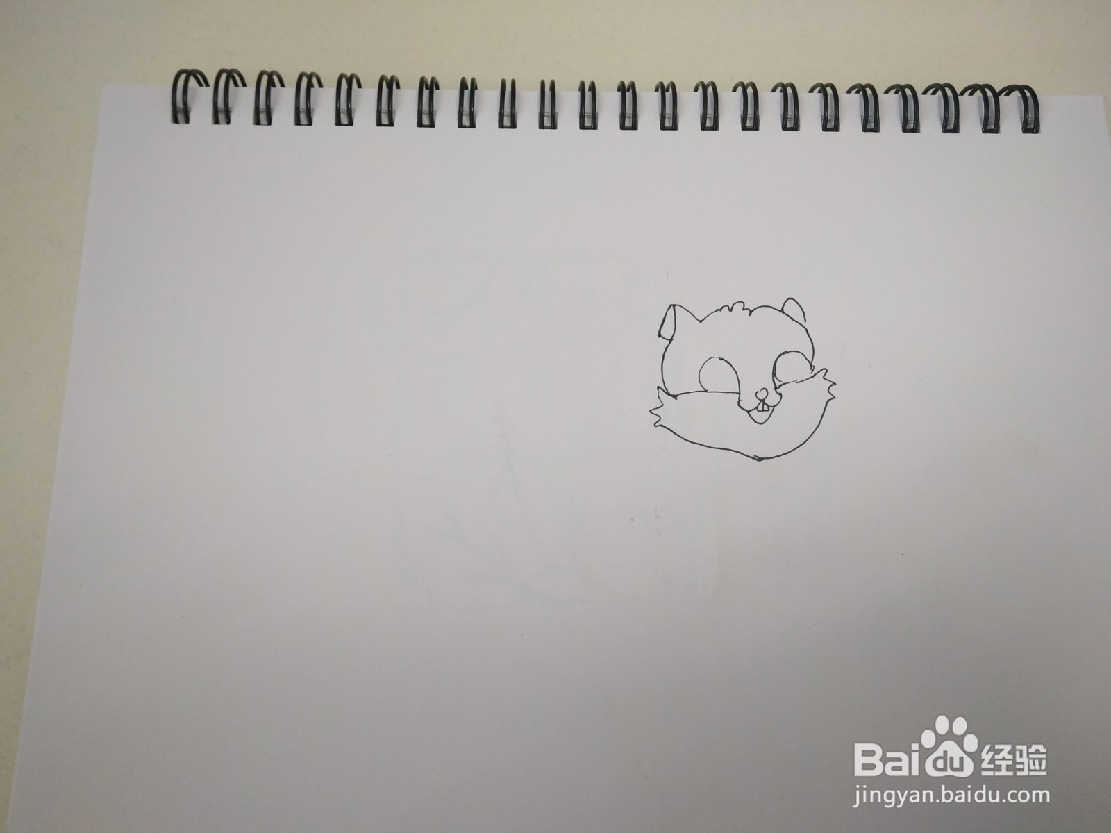 简笔画小松鼠