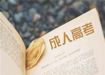 成考和自考的区别