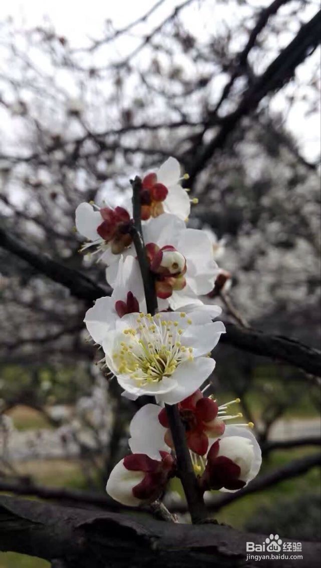 不同的性格，不一样的情书