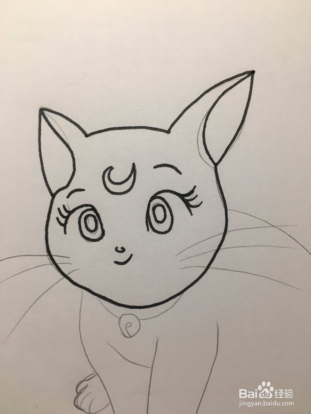 彩绘:手绘一只有月亮标记的卡通猫咪 动漫线稿
