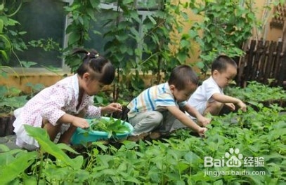 如何让宝宝喜欢蔬菜