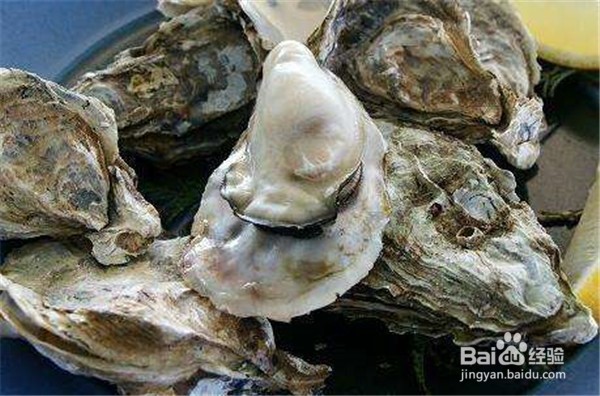 平时应该经常食用哪些食品可以减少掉头发