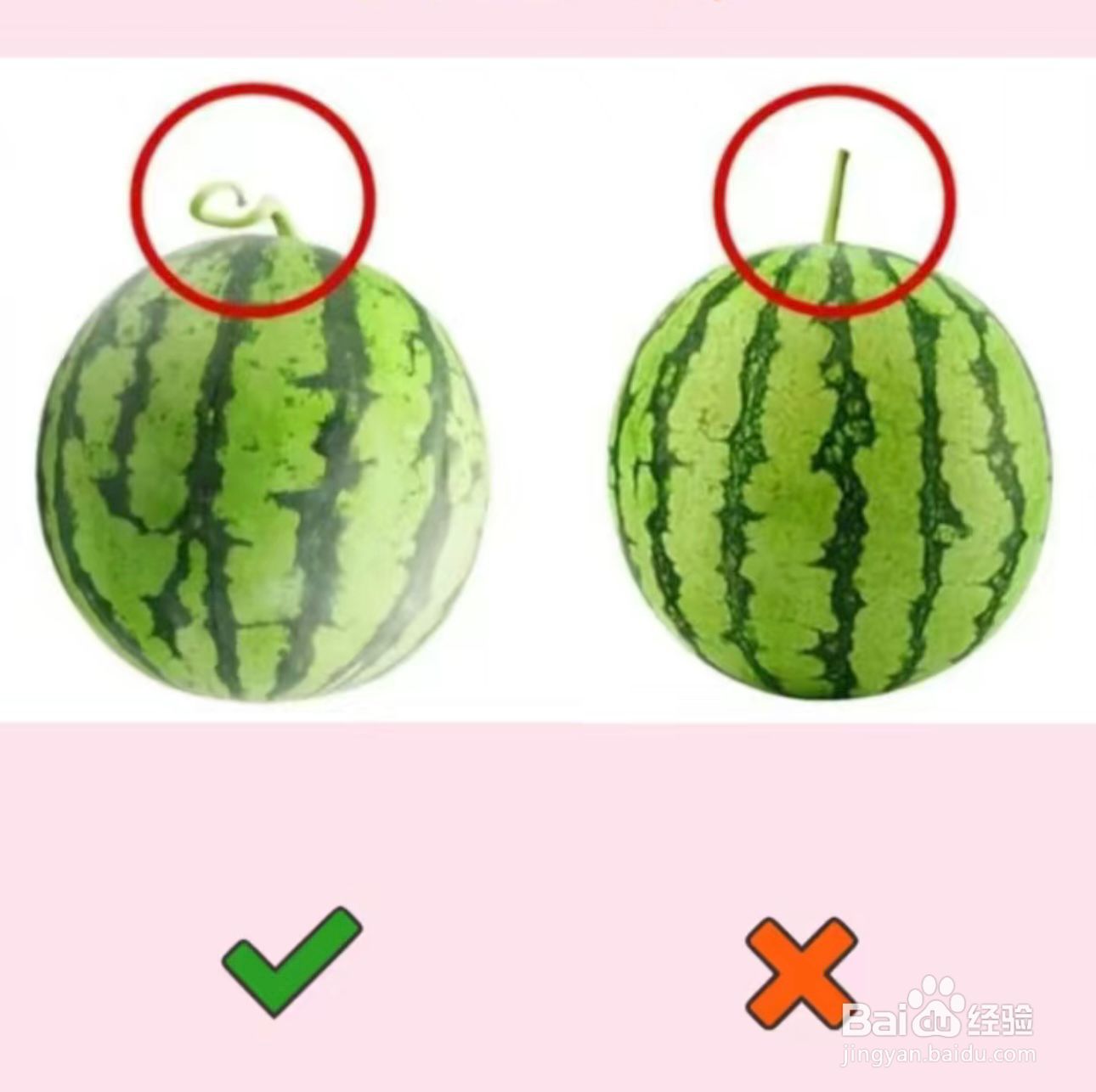如何选择好吃的西瓜