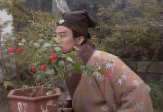 甄士隐人物形象是什么