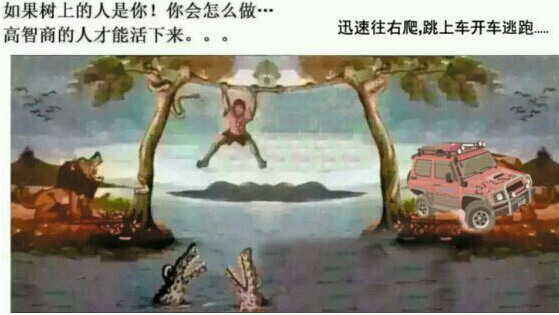 树上有一条蛇,树下有只狮子,河里有两只鳄鱼,怎样逃生?只有高智商人可以存活,求智者给答案。看看在我