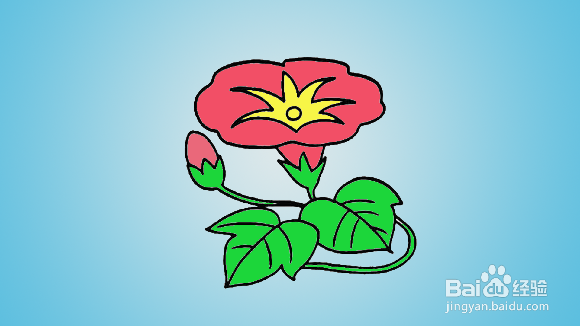 如何画卡通牵牛花#新人打卡#