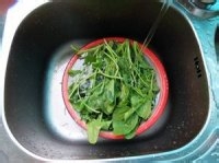 腊肉炒菠菜怎么做