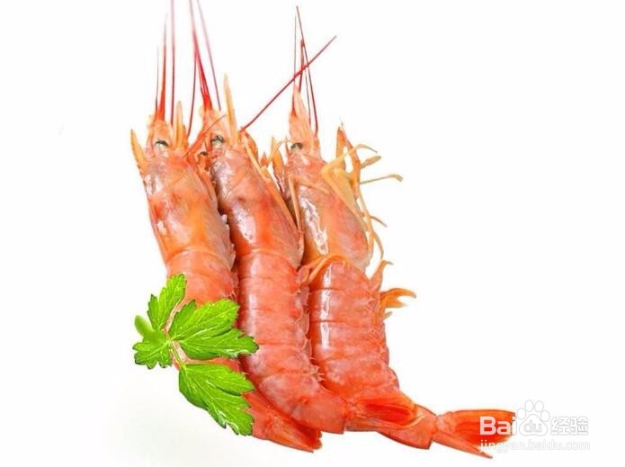 在市场上如何挑选好的虾