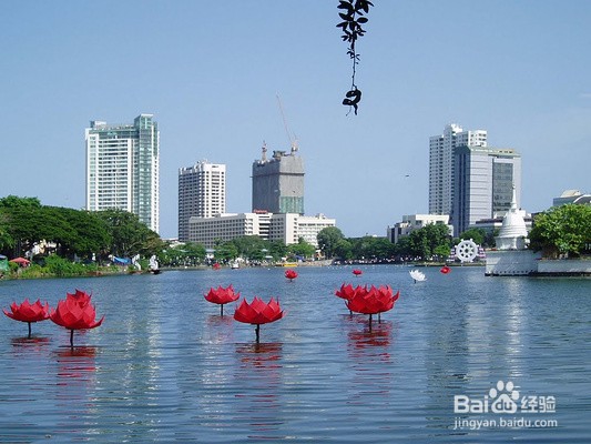 小白必看！科伦坡必体验