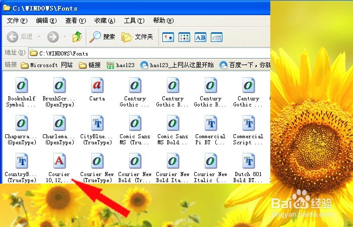 电脑如何安装新字体