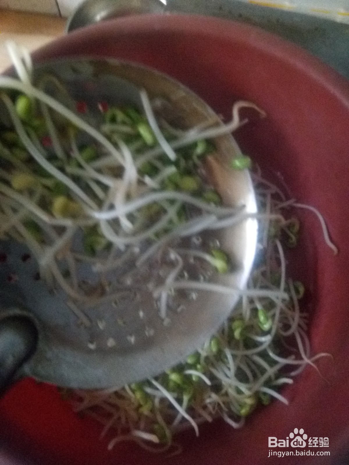 凉拌菜胡萝卜丝拌豆芽