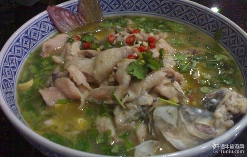 怎样在石家庄找美食餐馆