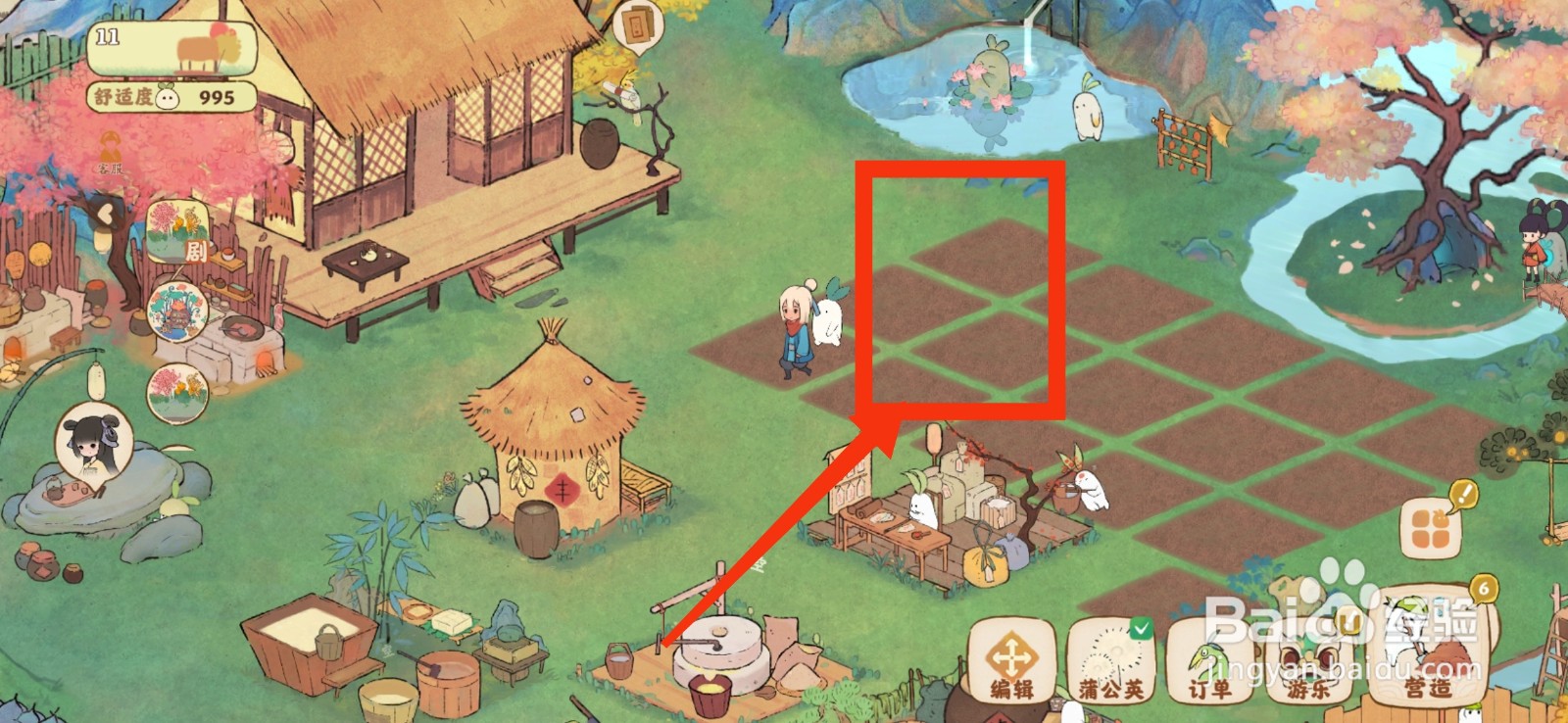 桃源深处有人家怎样种植小白菜?