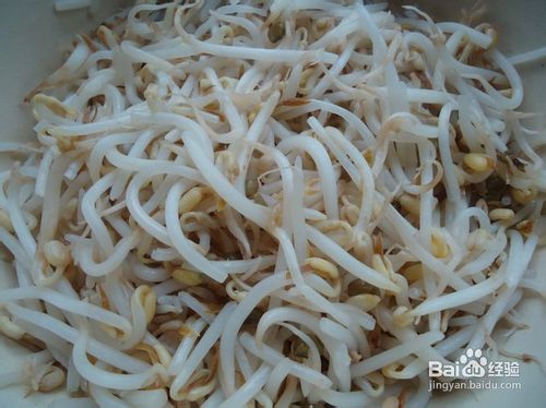 青椒炒豆芽