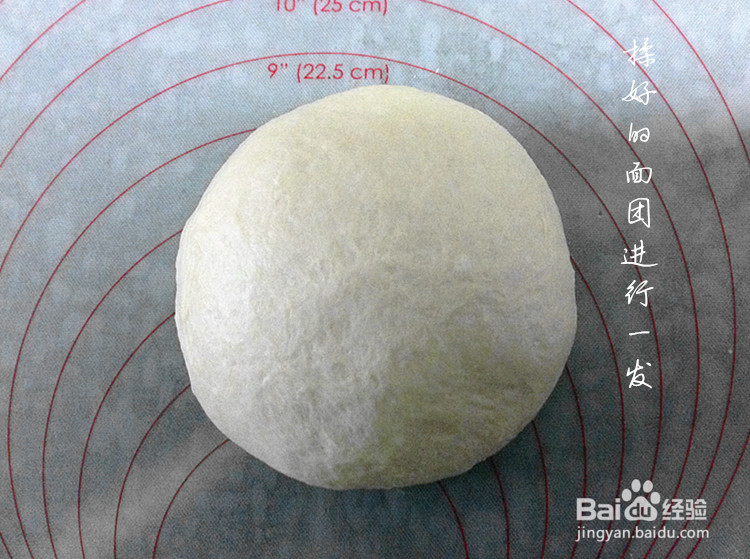 汤种椰蓉排包的做法