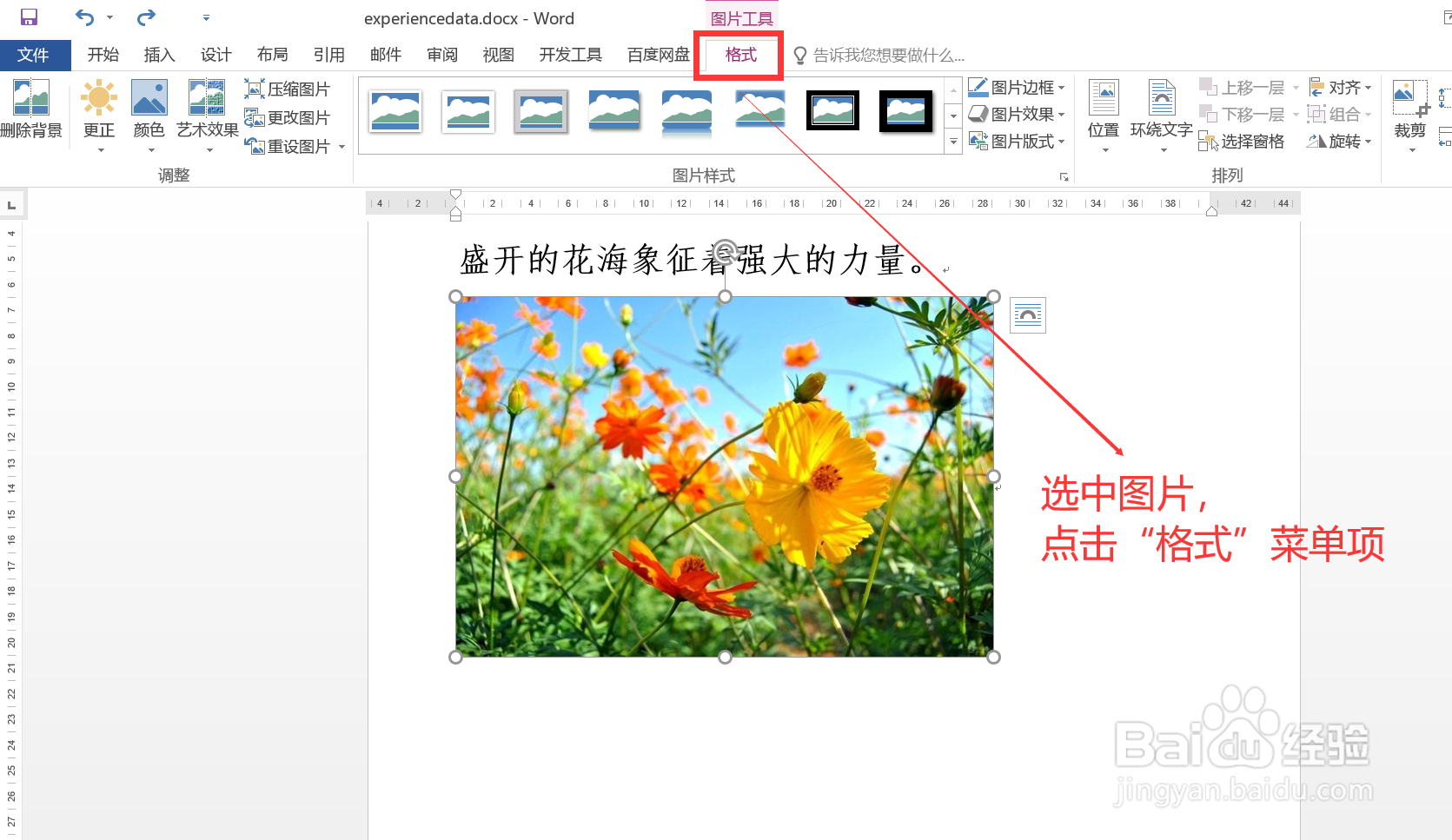 #Word技巧#如何更改文档中图片的显示形状
